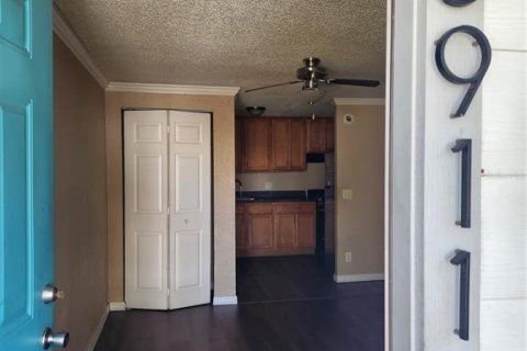 Studio à Tampa, Floride № 2388572
