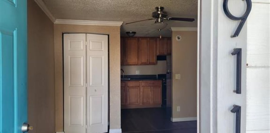 Studio à Tampa, Floride № 2388572