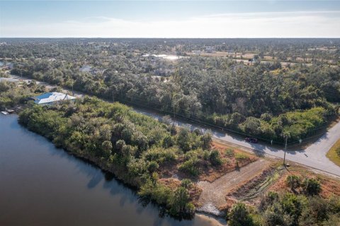 Land in Port Charlotte, Florida № 2103705 - photo 6