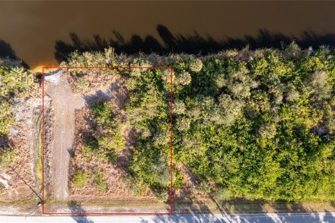 Land in Port Charlotte, Florida № 2103705 - photo 7