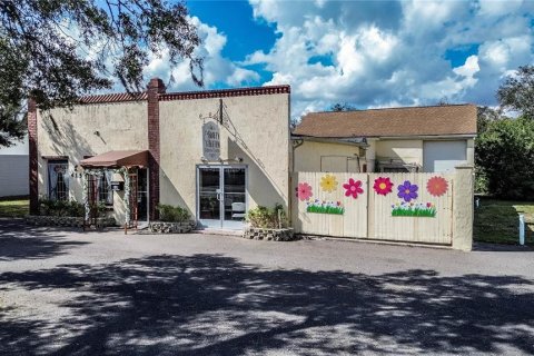 Commercial property in Lake Wales, Florida 204.38 sq.m. № 1261642 - photo 3