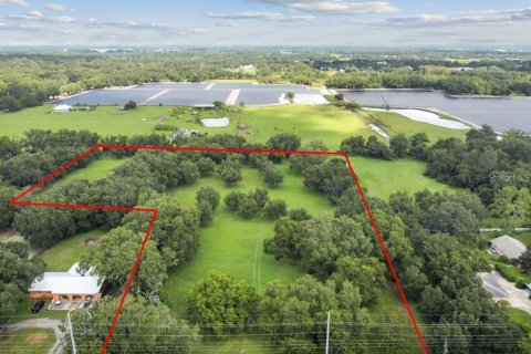 Land in Plant City, Florida № 1648441 - photo 1