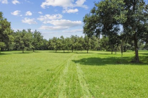 Land in Plant City, Florida № 1648441 - photo 5