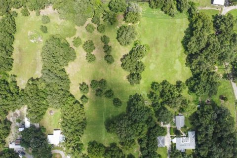 Land in Plant City, Florida № 1648441 - photo 10