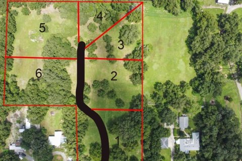Land in Plant City, Florida № 1648441 - photo 2