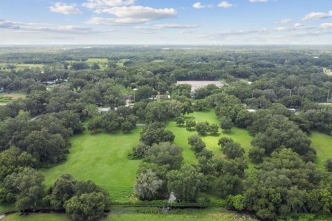 Land in Plant City, Florida № 1648441 - photo 3