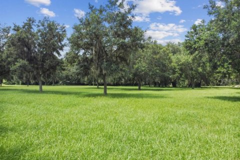 Land in Plant City, Florida № 1648441 - photo 9