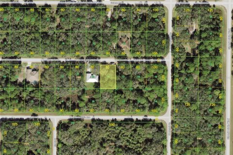 Land in Port Charlotte, Florida № 2160491 - photo 2