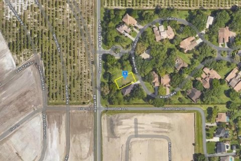 Land in Winter Haven, Florida № 1849605 - photo 2