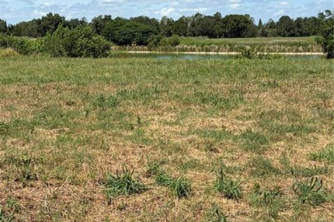 Terreno en venta en Fort Meade, Florida № 2229580 - foto 6