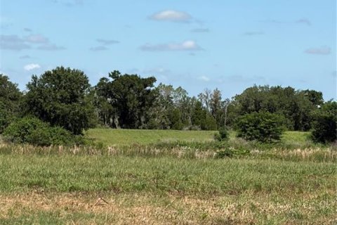 Terreno en venta en Fort Meade, Florida № 2229580 - foto 8