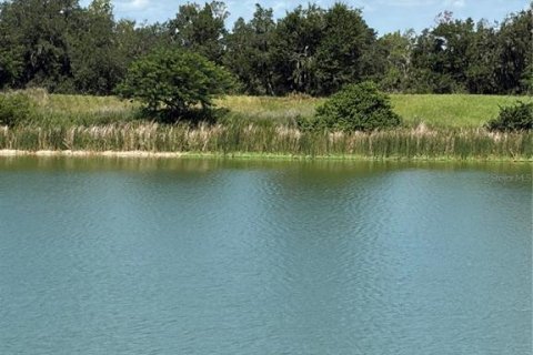 Terreno en venta en Fort Meade, Florida № 2229580 - foto 5
