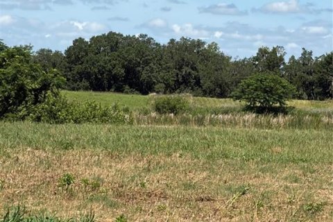 Terreno en venta en Fort Meade, Florida № 2229580 - foto 9