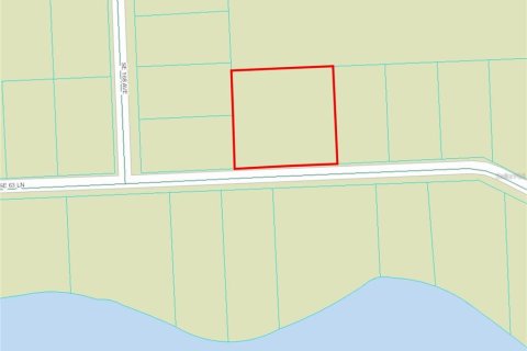 Land in Ocklawaha, Florida № 2159726