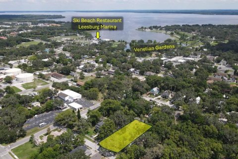 Land in Leesburg, Florida № 1765567 - photo 5