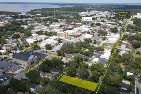 Land in Leesburg, Florida № 1765567 - photo 4