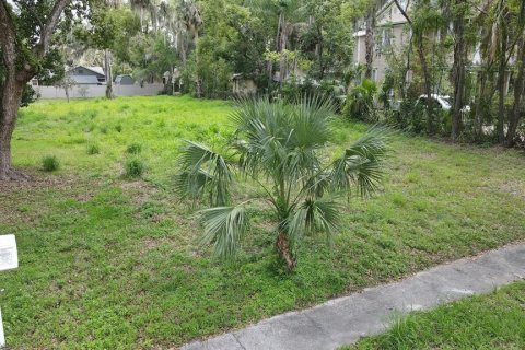 Land in Leesburg, Florida № 1765567 - photo 1