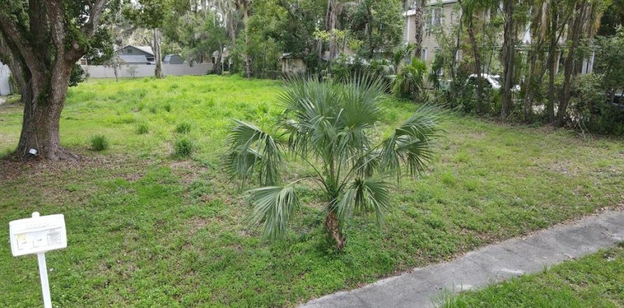 Land in Leesburg, Florida № 1765567