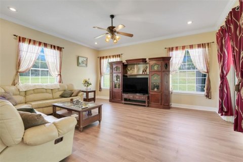 Villa ou maison à vendre à Minneola, Floride: 4 chambres, 318.93 m2 № 1838894 - photo 11