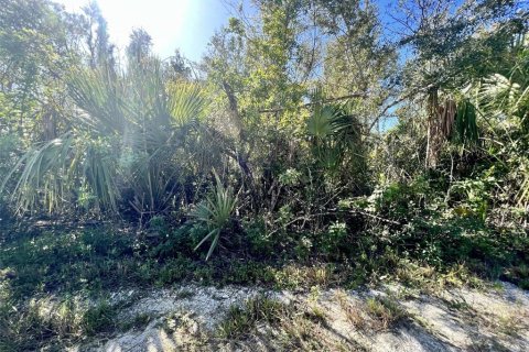 Terrain à Punta Gorda, Floride № 2160059