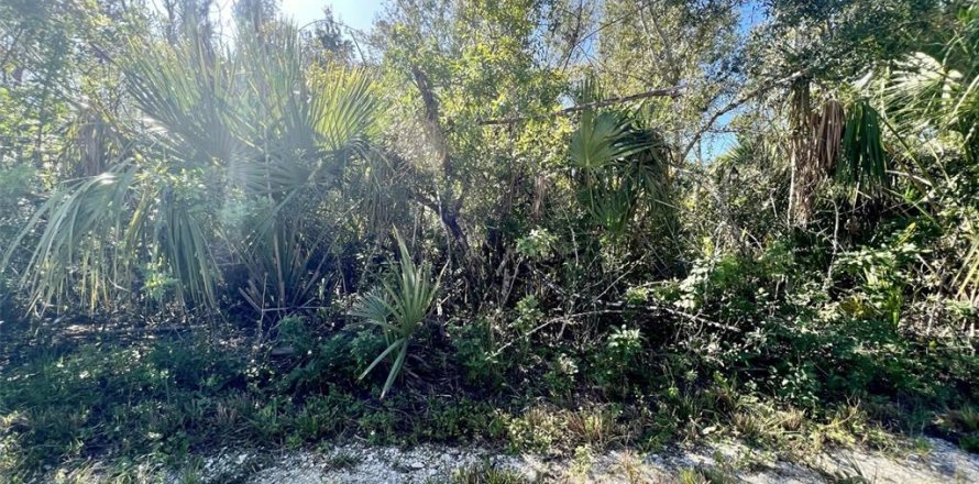 Terrain à Punta Gorda, Floride № 2160059