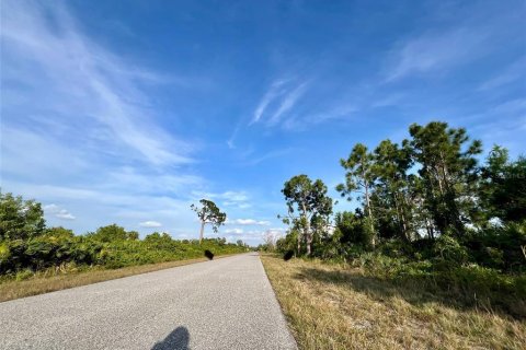 Land in Port Charlotte, Florida № 2163334 - photo 3