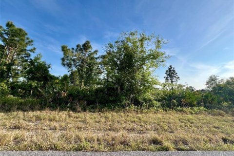 Land in Port Charlotte, Florida № 2163334
