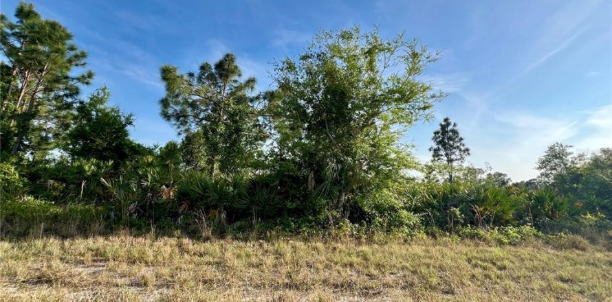 Land in Port Charlotte, Florida № 2163334
