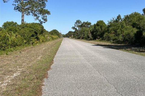 Land in Port Charlotte, Florida № 2163334 - photo 2