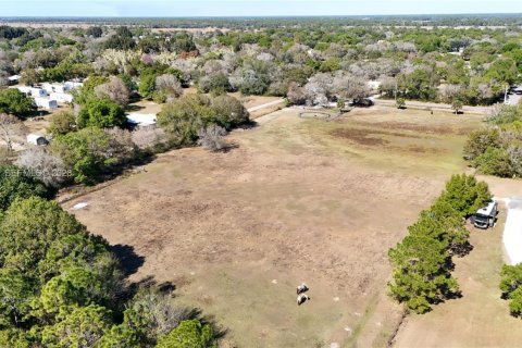 Terreno en venta en Okeechobee, Florida № 2080785 - foto 5