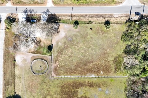 Terreno en venta en Okeechobee, Florida № 2080785 - foto 11