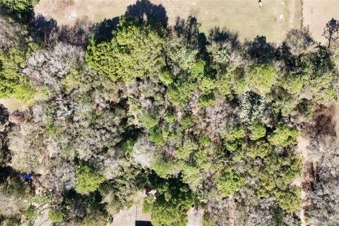 Terreno en venta en Okeechobee, Florida № 2080785 - foto 15