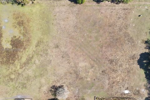 Terreno en venta en Okeechobee, Florida № 2080785 - foto 10