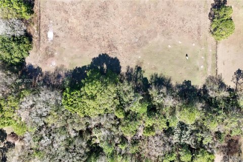 Terreno en venta en Okeechobee, Florida № 2080785 - foto 14