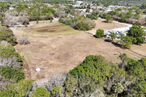 Terreno en venta en Okeechobee, Florida № 2080785 - foto 7
