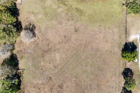 Terreno en venta en Okeechobee, Florida № 2080785 - foto 30