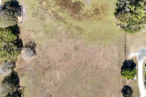 Terreno en venta en Okeechobee, Florida № 2080785 - foto 19