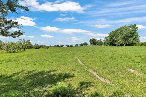 Land in Bartow, Florida № 1681156 - photo 6