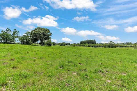 Land in Bartow, Florida № 1681156 - photo 5
