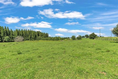 Land in Bartow, Florida № 1681156 - photo 7