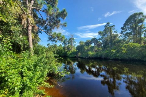 Land in Port Charlotte, Florida № 2321309