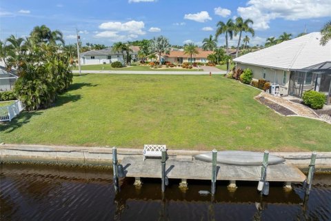 Terrain à Punta Gorda, Floride № 2310845