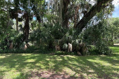 Terrain à vendre à DeLand, Floride № 1908896 - photo 3