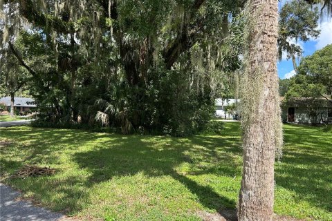 Terrain à vendre à DeLand, Floride № 1908896 - photo 2