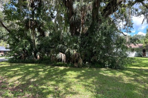 Terrain à vendre à DeLand, Floride № 1908896 - photo 1