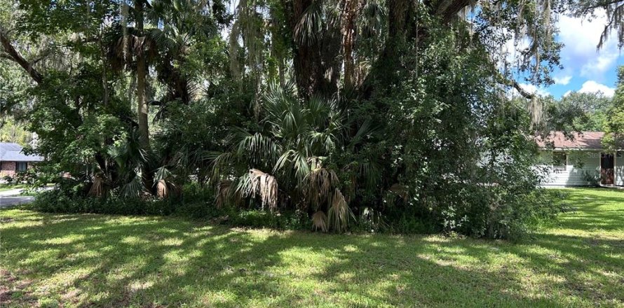 Terrain à DeLand, Floride № 1908896