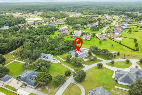 House in Lutz, Florida 3 bedrooms, 333.05 sq.m. № 1877387 - photo 7