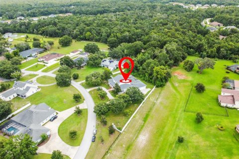 House in Lutz, Florida 3 bedrooms, 333.05 sq.m. № 1877387 - photo 8