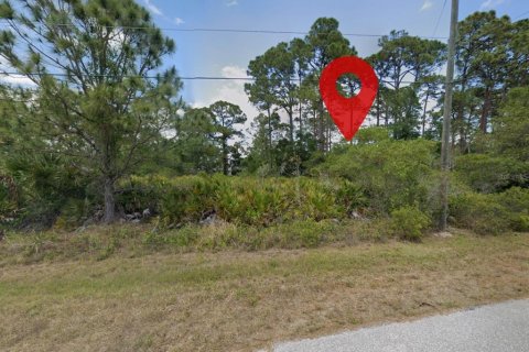 Land in Port Charlotte, Florida № 2224111 - photo 4