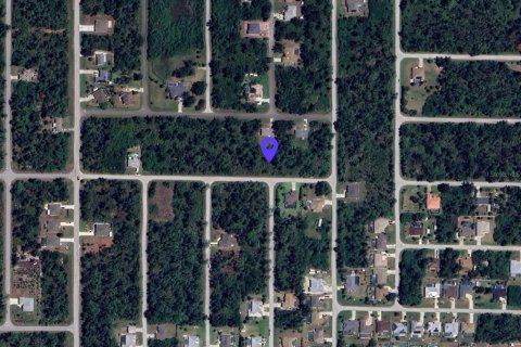 Land in Port Charlotte, Florida № 2224111 - photo 8
